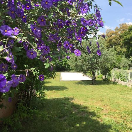 Ferienwohnung Oustaou Di Ercole Bormes-les-Mimosas Exterior foto