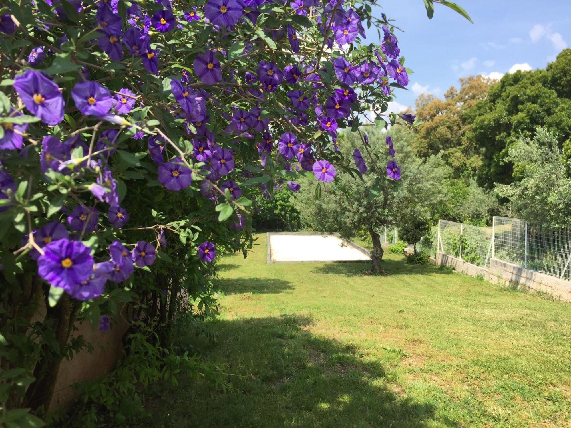 Ferienwohnung Oustaou Di Ercole Bormes-les-Mimosas Exterior foto